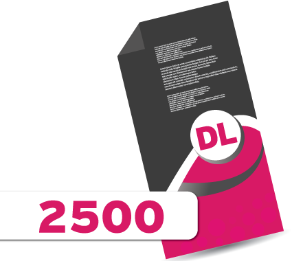 2,500 DL Leaflets